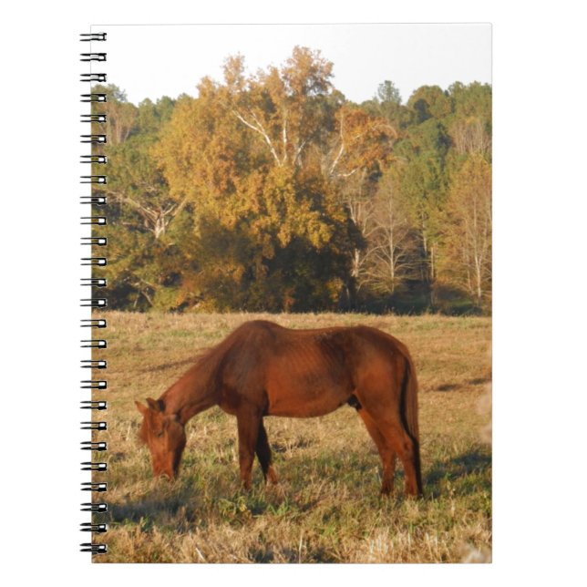 Cuaderno Caballo marrón en campo de árbol amarillo (Frente)
