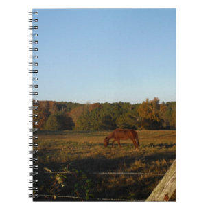 Cuaderno Caballo marrón en el sol