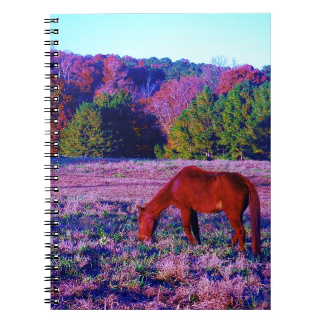 Cuaderno Caballo marrón en Grasa Morada (Frente)