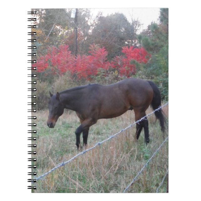 Cuaderno Caballo marrón en los árboles de otoño rojos (Frente)
