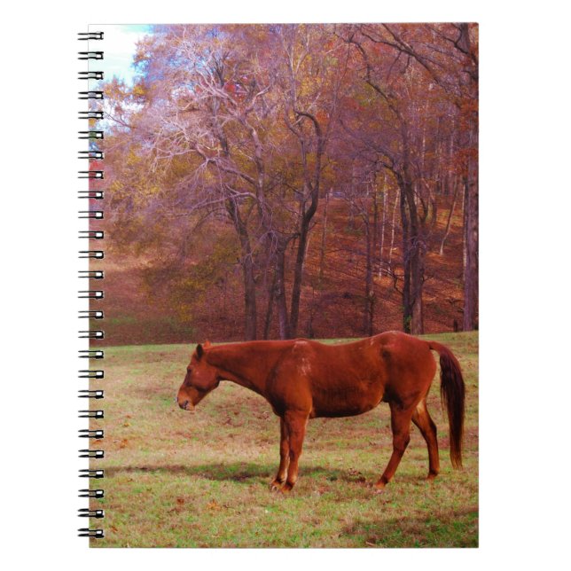 Cuaderno Caballo marrón en un campo de hierba (Frente)