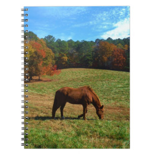 Cuaderno Caballo marrón rojo, árboles caídos, cielos azules