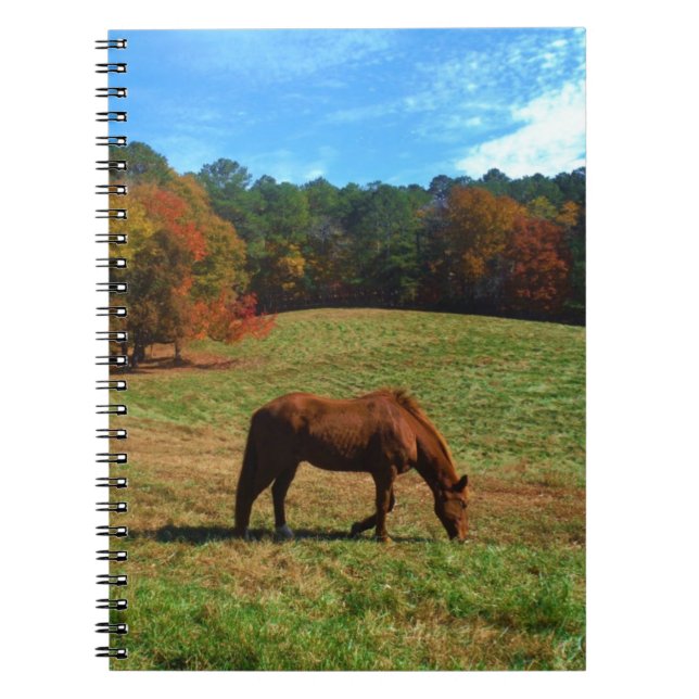 Cuaderno Caballo marrón rojo, árboles caídos, cielos azules (Frente)