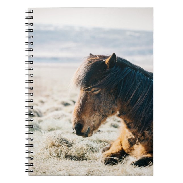CUADERNO CABALLO MARRÓN SITUADO EN GRASS CERCA DE LA PLAYA (Frente)