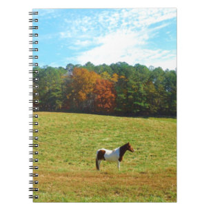 Cuaderno Caballo marrón y blanco, árboles de otoño, cielo a