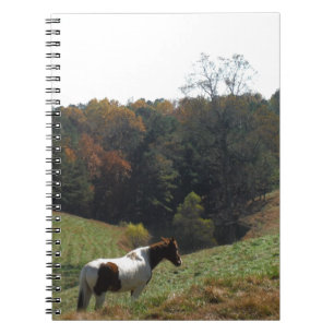 Cuaderno Caballo marrón y blanco en el estanque de otoño
