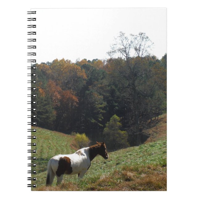 Cuaderno Caballo marrón y blanco en el estanque de otoño (Frente)