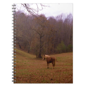 Cuaderno Caballo marrón y rubio en un campo
