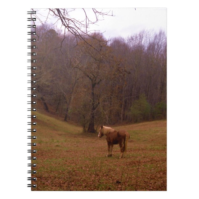 Cuaderno Caballo marrón y rubio en un campo (Frente)