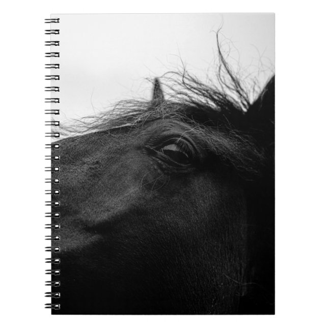 CUADERNO CABALLO NEGRO (Frente)