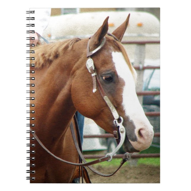 Cuaderno Caballo Occidental (Frente)