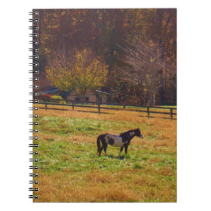 Cuaderno Caballo pintado a lo lejos