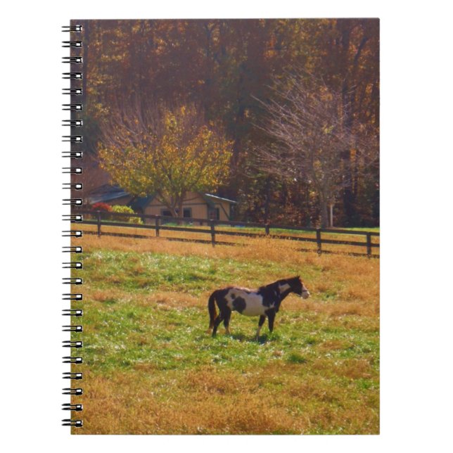 Cuaderno Caballo pintado a lo lejos (Frente)