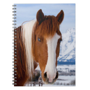 Cuaderno Caballo Pinto Monte Moran en Invierno