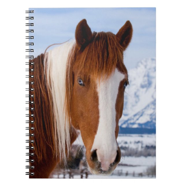 Cuaderno Caballo Pinto Monte Moran en Invierno (Frente)