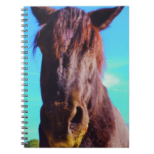Cuaderno Caballo púrpura con boca verde