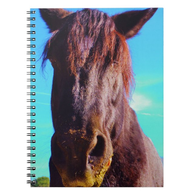 Cuaderno Caballo púrpura con boca verde (Frente)