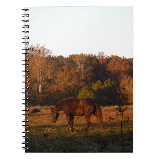 Cuaderno Caballo rojo marrón, bosque otoñal. (Frente)