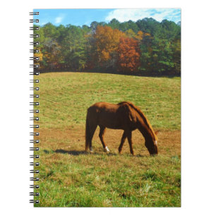 Cuaderno Caballo rojo marrón en los árboles de otoño