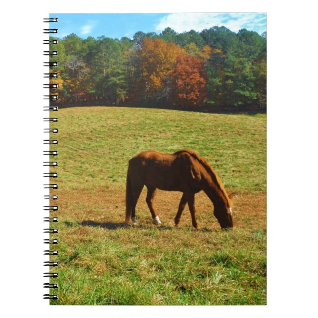 Cuaderno Caballo rojo marrón en los árboles de otoño (Frente)