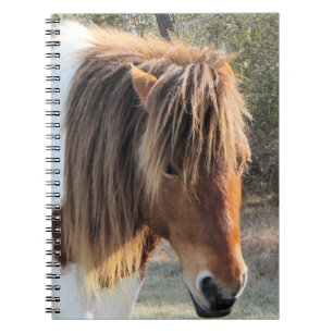 Cuaderno caballo salvaje
