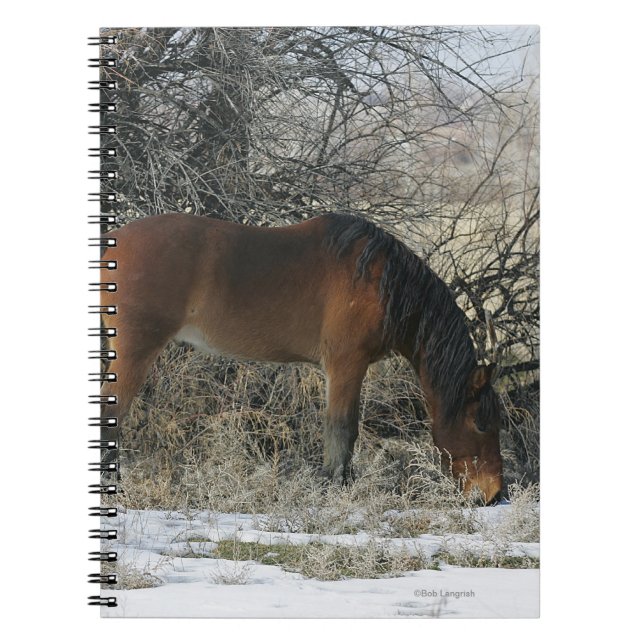 Cuaderno Caballo salvaje del mustango en la nieve 1 (Frente)