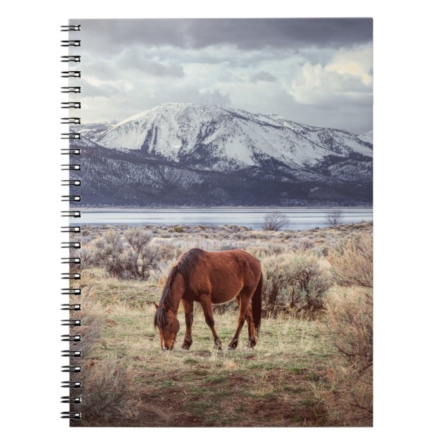 Cuaderno Caballo salvaje: El paisaje invernal de Nevada. (Frente)