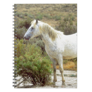 Cuaderno Caballo salvaje gris, primavera rocosa, Wyoming