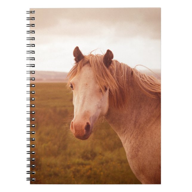 Cuaderno Caballo salvaje vintage (Frente)