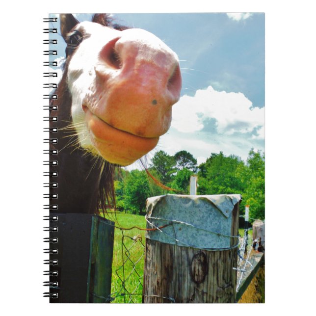 Cuaderno Caballo sonriente (Frente)