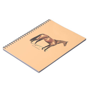 Cuaderno Caballo tostado