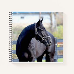 Cuaderno Caballo y amanecer en el bloc de notas del lago