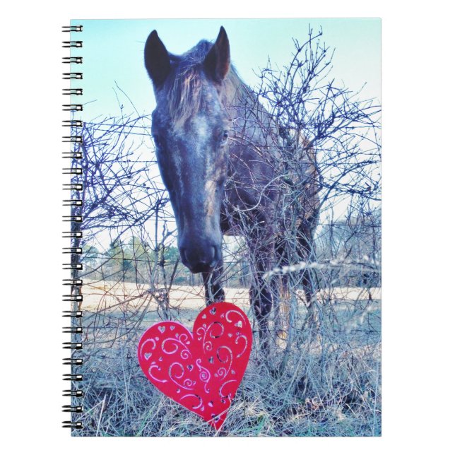 Cuaderno Caballo y corazón (Frente)