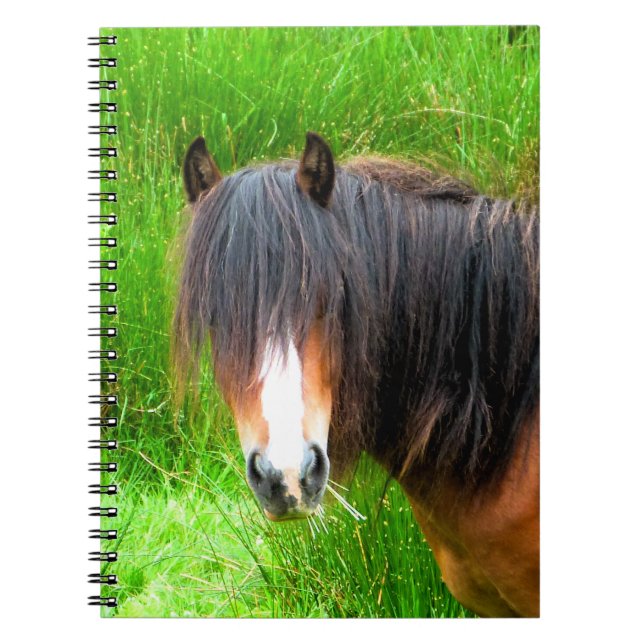 CUADERNO CABALLOS (Frente)