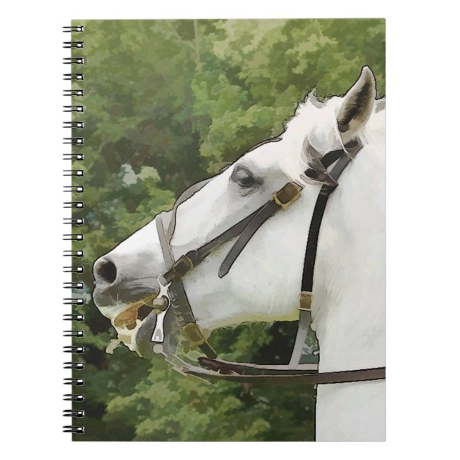 CUADERNO CABALLOS (Frente)