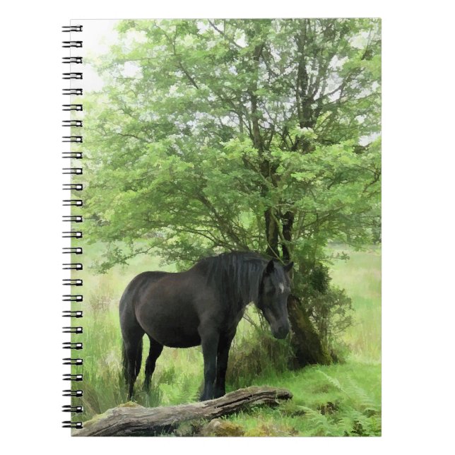 CUADERNO CABALLOS (Frente)