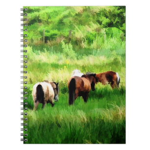 CUADERNO CABALLOS