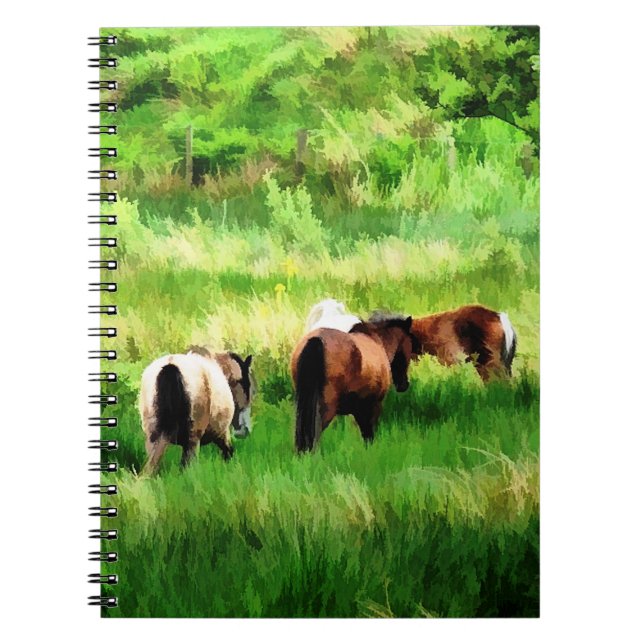 CUADERNO CABALLOS (Frente)