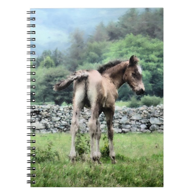 CUADERNO CABALLOS (Frente)