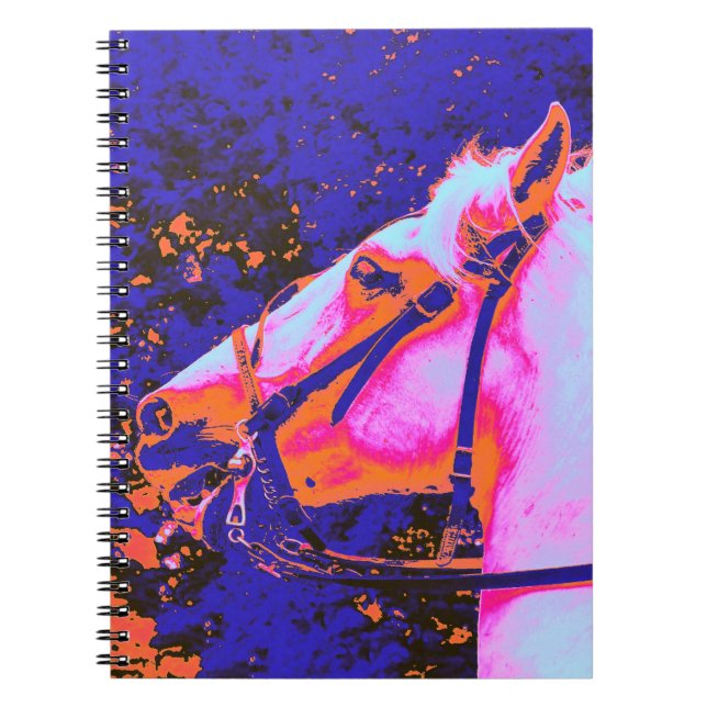 CUADERNO CABALLOS (Frente)