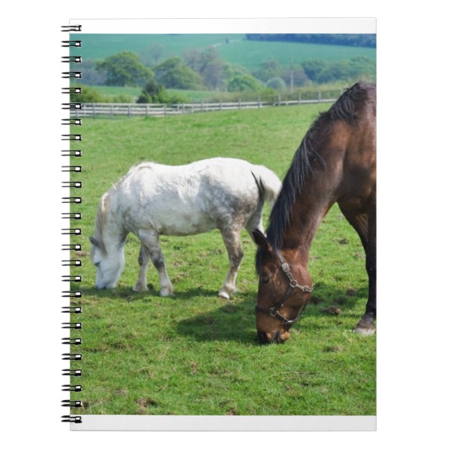 Cuaderno Caballos (Frente)