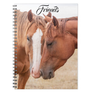 Cuaderno Caballos acariciándose en un prado
