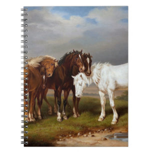 Cuaderno Caballos alrededor de 1864