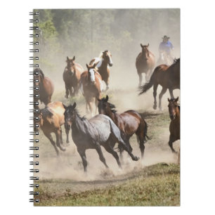 Cuaderno Caballos corriendo durante la rodeo, Montana