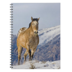Cuaderno Caballos corriendo en la nieve