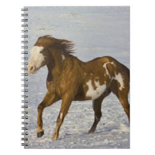 Cuaderno Caballos corriendo en nieve