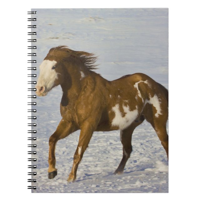 Cuaderno Caballos corriendo en nieve (Frente)