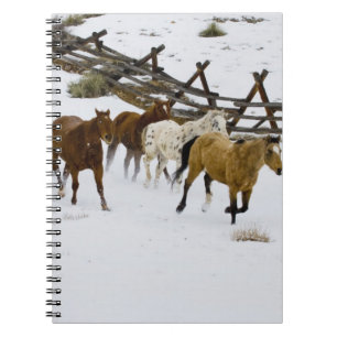 Cuaderno Caballos corriendo en nieve
