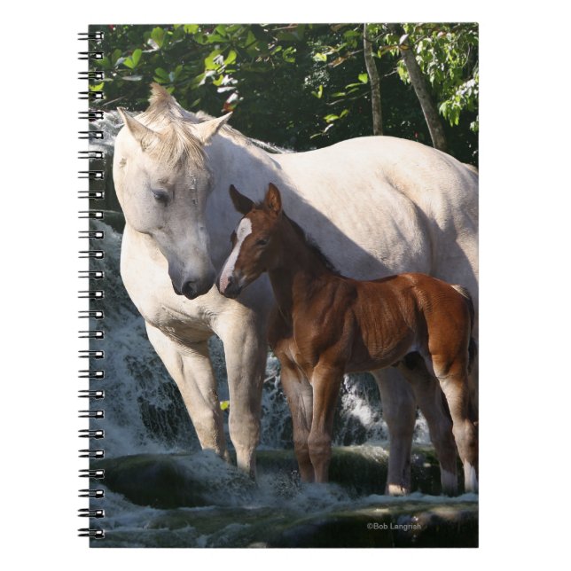 Cuaderno Caballos de la fantasía: Cascada (Frente)