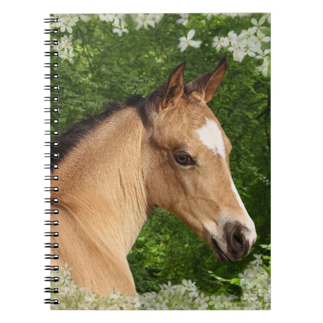 Cuaderno Caballos de la fantasía: Flores (Frente)